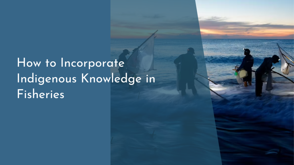 How to Incorporate Indigenous Knowledge in Fisheries