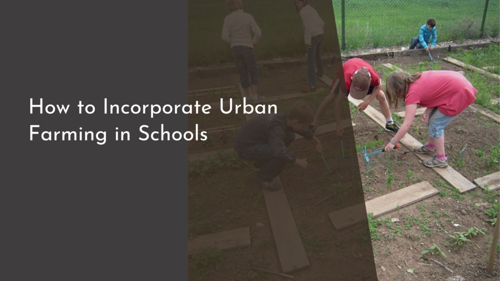 How to Incorporate Urban Farming in Schools