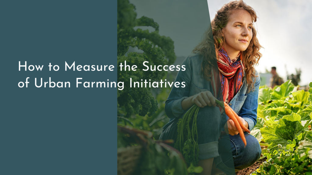 How to Measure the Success of Urban Farming Initiatives