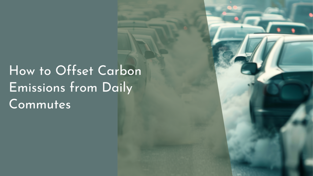 How to Offset Carbon Emissions from Daily Commutes