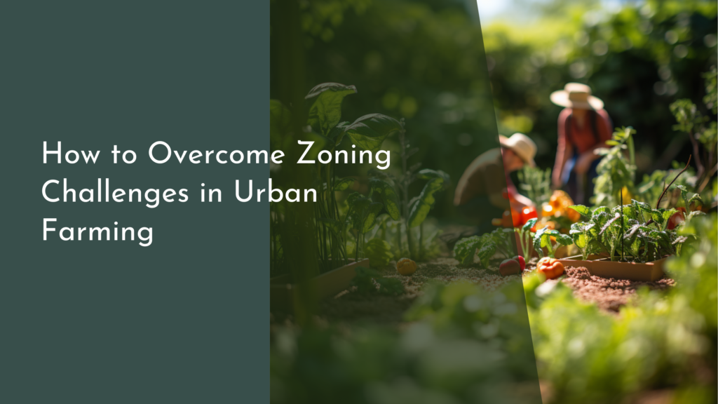 How to Overcome Zoning Challenges in Urban Farming