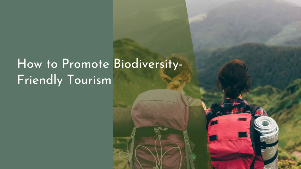 How to Promote Biodiversity-Friendly Tourism