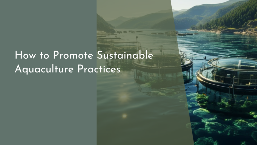 How to Promote Sustainable Aquaculture Practices