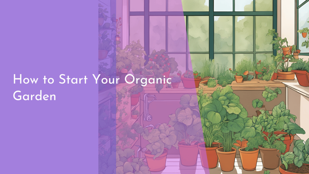 How to Start Your Organic Garden