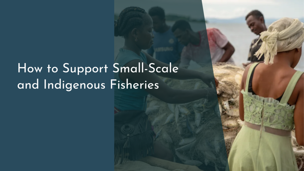 How to Support Small-Scale and Indigenous Fisheries