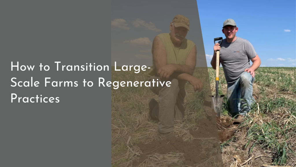 How to Transition Large-Scale Farms to Regenerative Practices