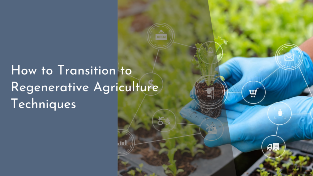 How to Transition to Regenerative Agriculture Techniques