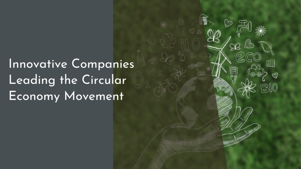 Innovative Companies Leading the Circular Economy Movement