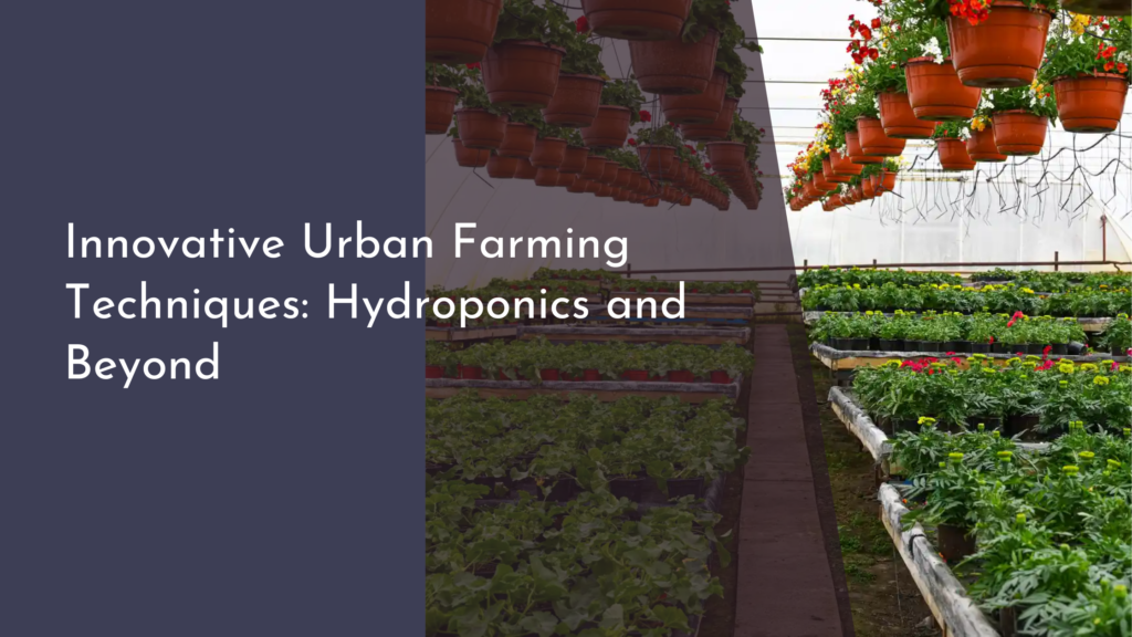 Innovative Urban Farming Techniques: Hydroponics and Beyond