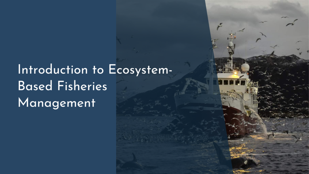 Introduction to Ecosystem-Based Fisheries Management