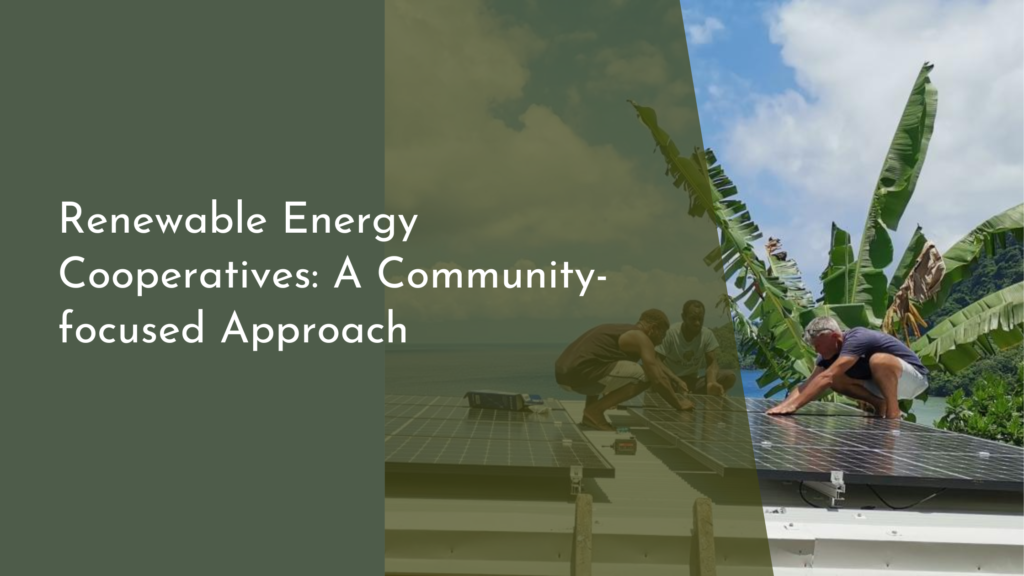 Renewable Energy Cooperatives: A Community-focused Approach