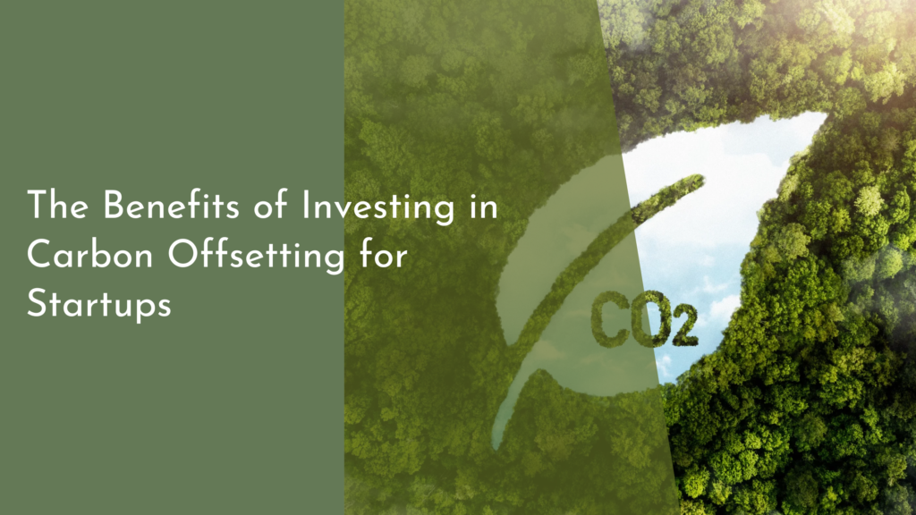 The Benefits of Investing in Carbon Offsetting for Startups