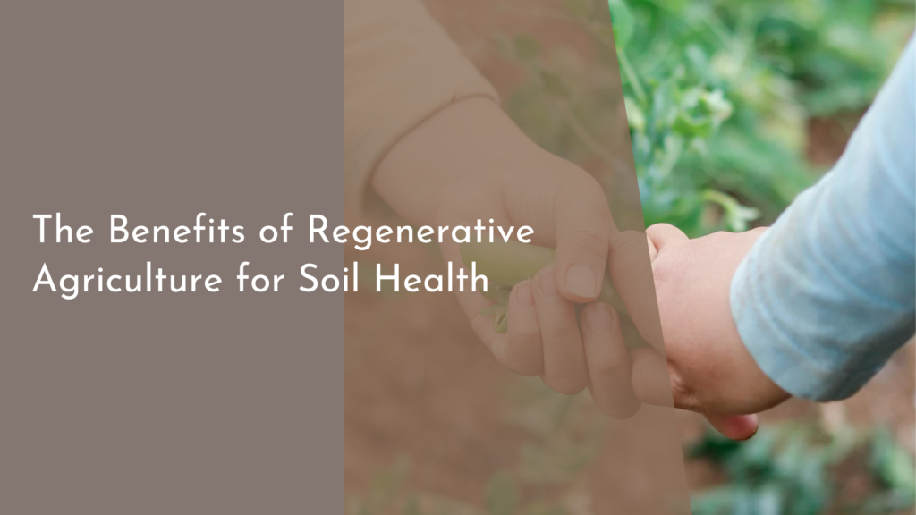 The Benefits of Regenerative Agriculture for Soil Health