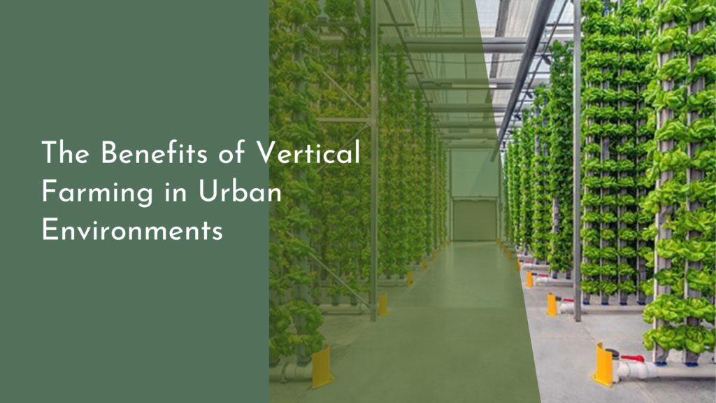 The Benefits of Vertical Farming in Urban Environments