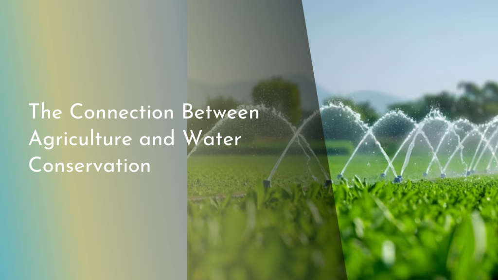 The Connection Between Agriculture and Water Conservation