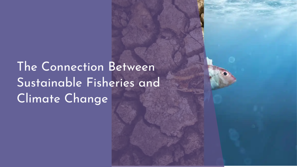 The Connection Between Sustainable Fisheries and Climate Change