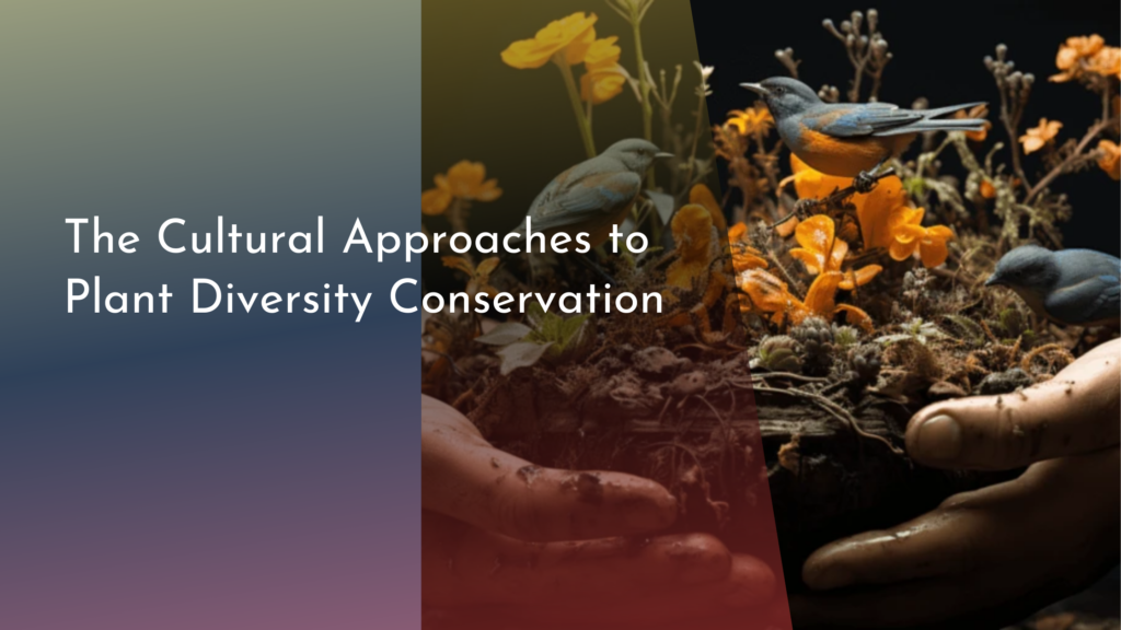 The Cultural Approaches to Plant Diversity Conservation