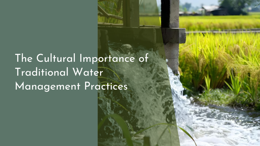 The Cultural Importance of Traditional Water Management Practices