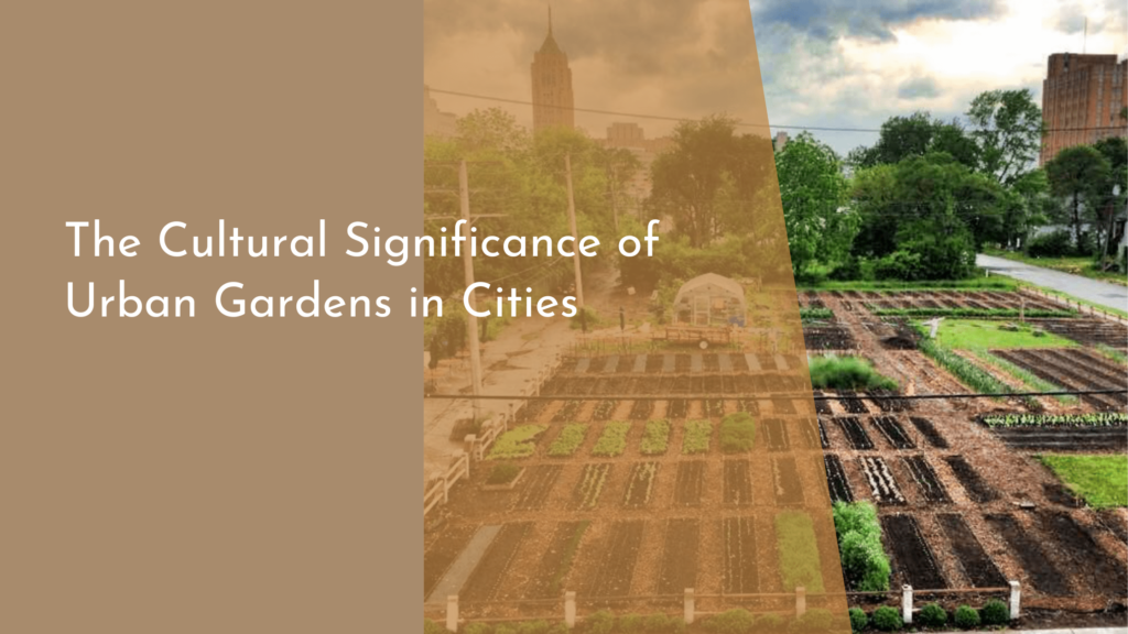 The Cultural Significance of Urban Gardens in Cities