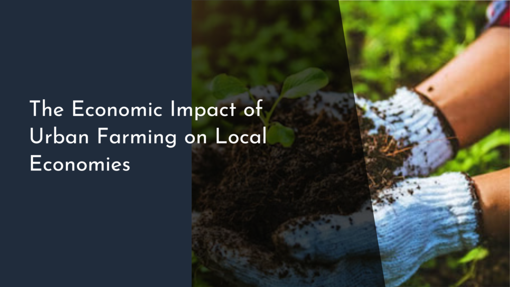 The Economic Impact of Urban Farming on Local Economies