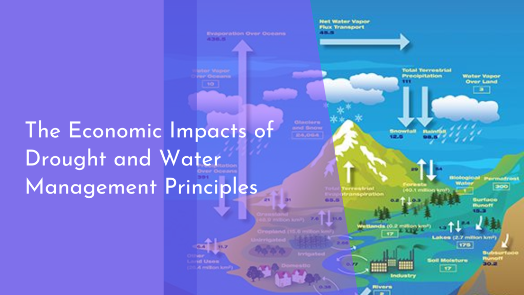 The Economic Impacts of Drought and Water Management Principles