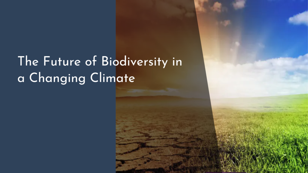 The Future of Biodiversity in a Changing Climate