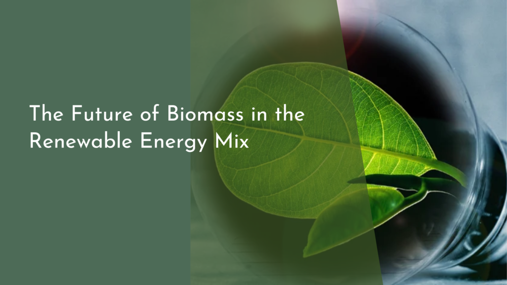 The Future of Biomass in the Renewable Energy Mix