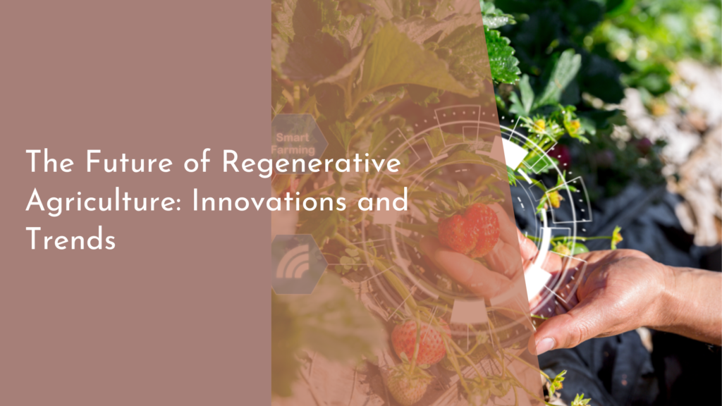 The Future of Regenerative Agriculture: Innovations and Trends