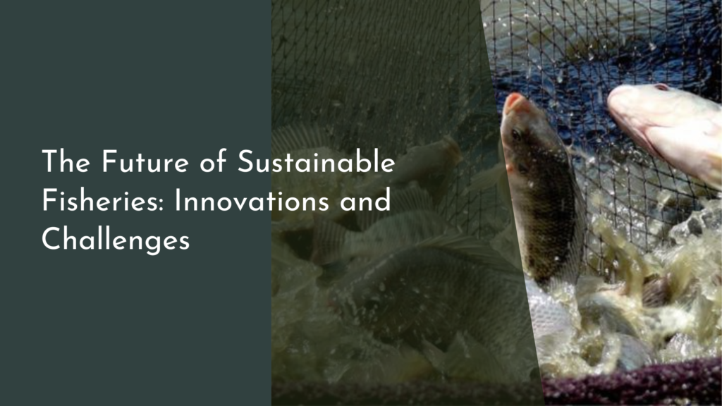 The Future of Sustainable Fisheries: Innovations and Challenges