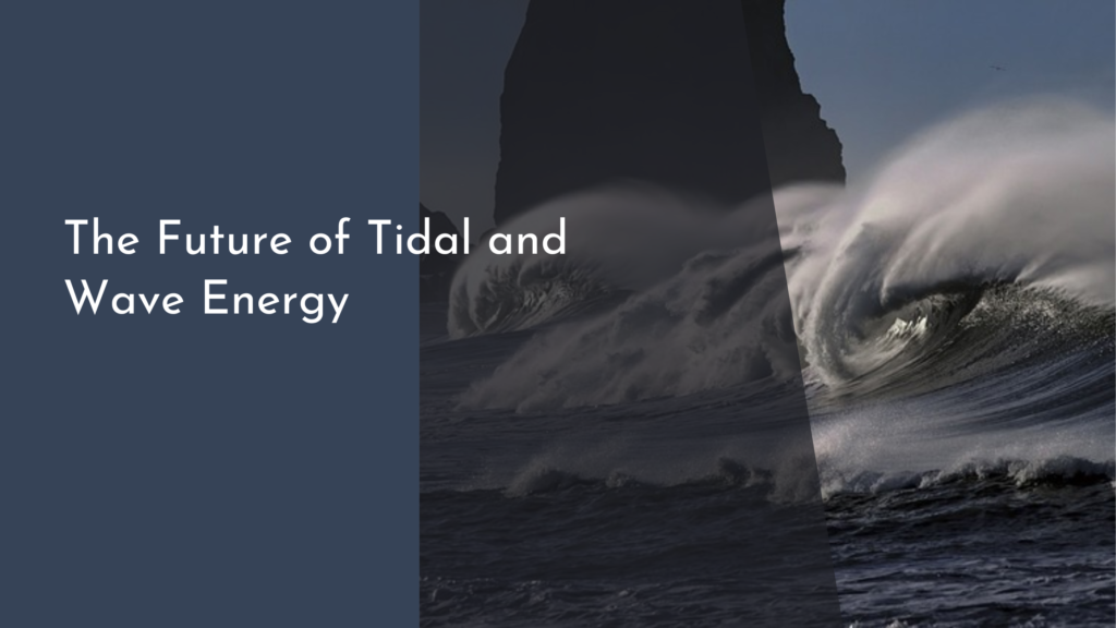 The Future of Tidal and Wave Energy