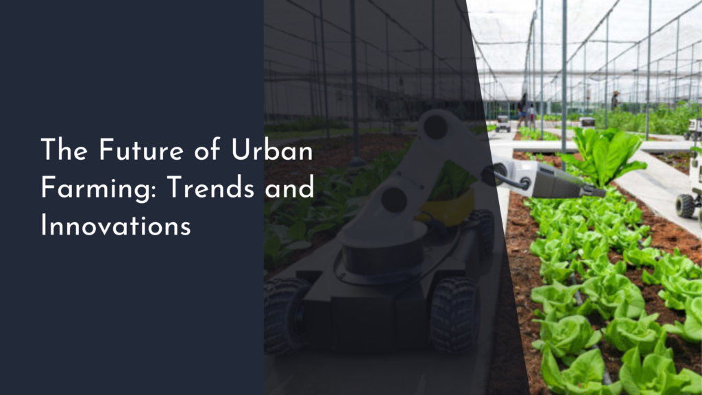 The Future of Urban Farming: Trends and Innovations