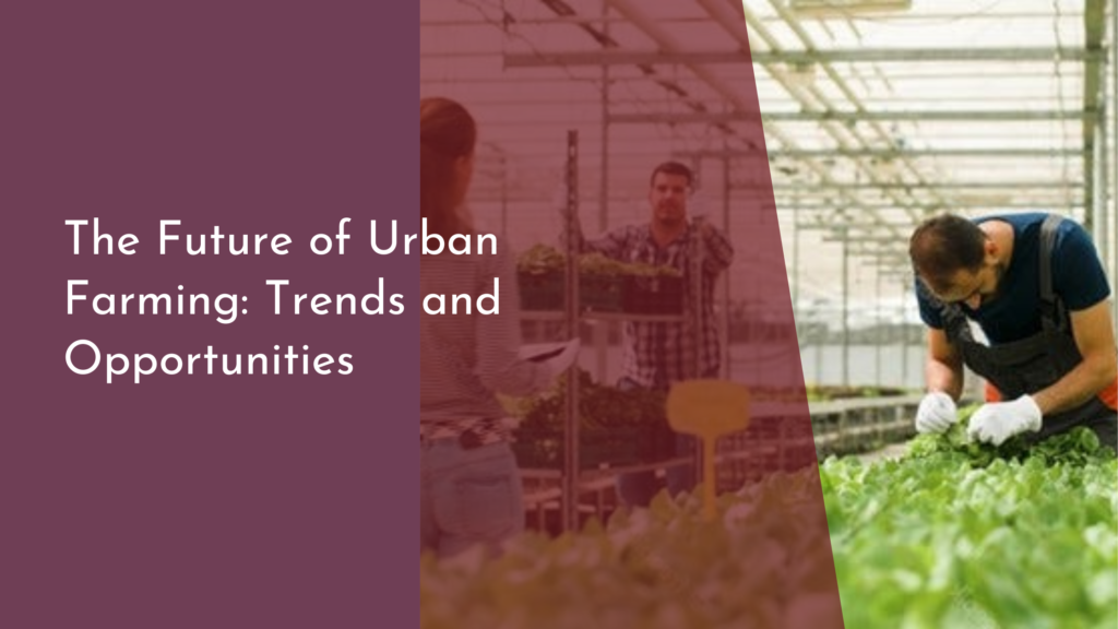 The Future of Urban Farming: Trends and Opportunities