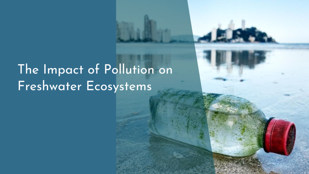 The Impact of Pollution on Freshwater Ecosystems