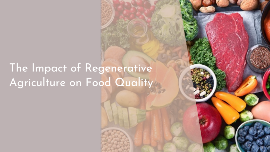 The Impact of Regenerative Agriculture on Food Quality