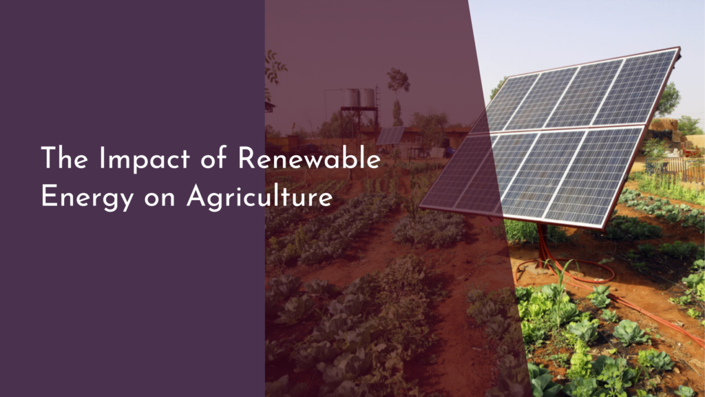 The Impact of Renewable Energy on Agriculture