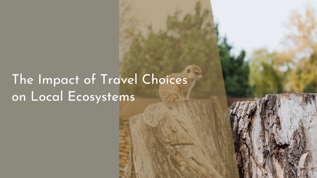 The Impact of Travel Choices on Local Ecosystems