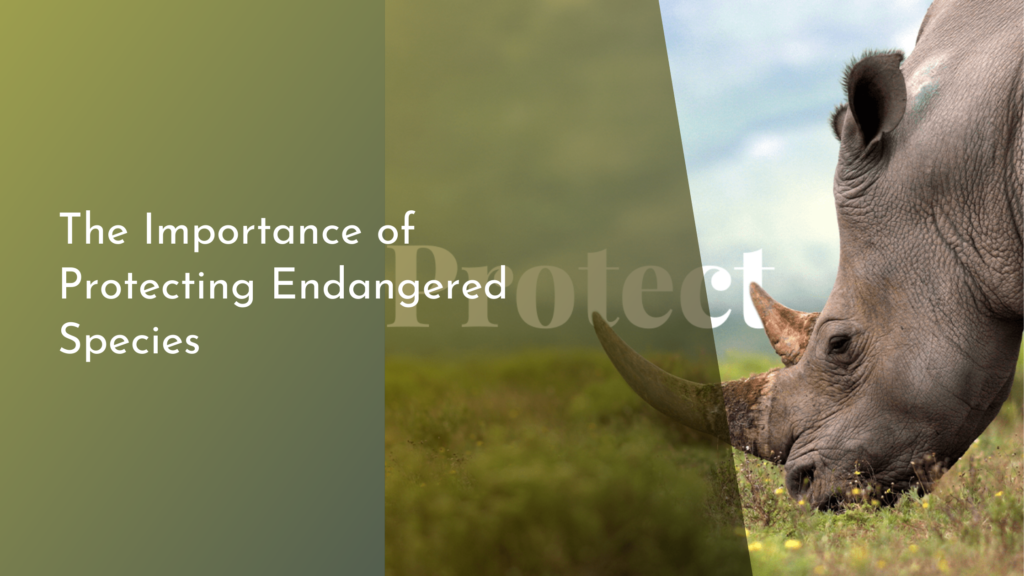 The Importance of Protecting Endangered Species