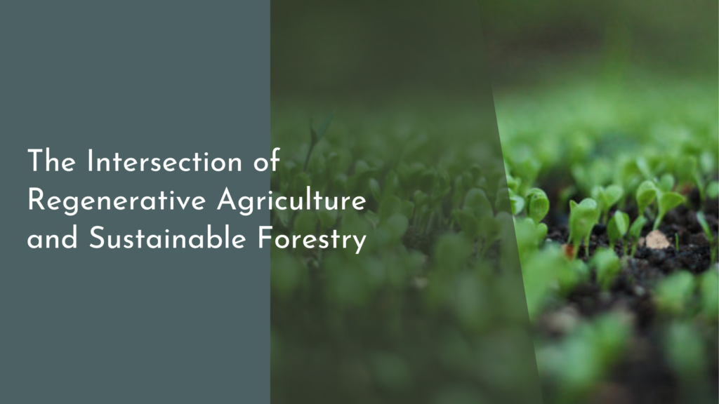 The Intersection of Regenerative Agriculture and Sustainable Forestry