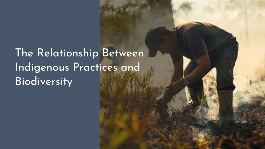 The Relationship Between Indigenous Practices and Biodiversity