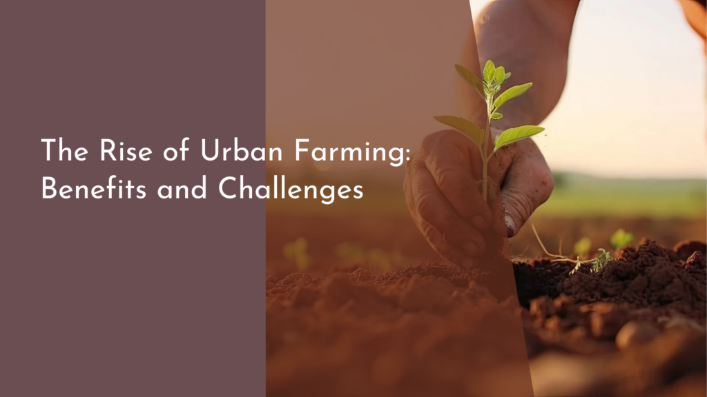 The Rise of Urban Farming: Benefits and Challenges