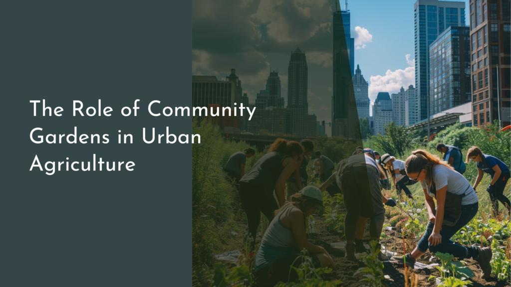 The Role of Community Gardens in Urban Agriculture