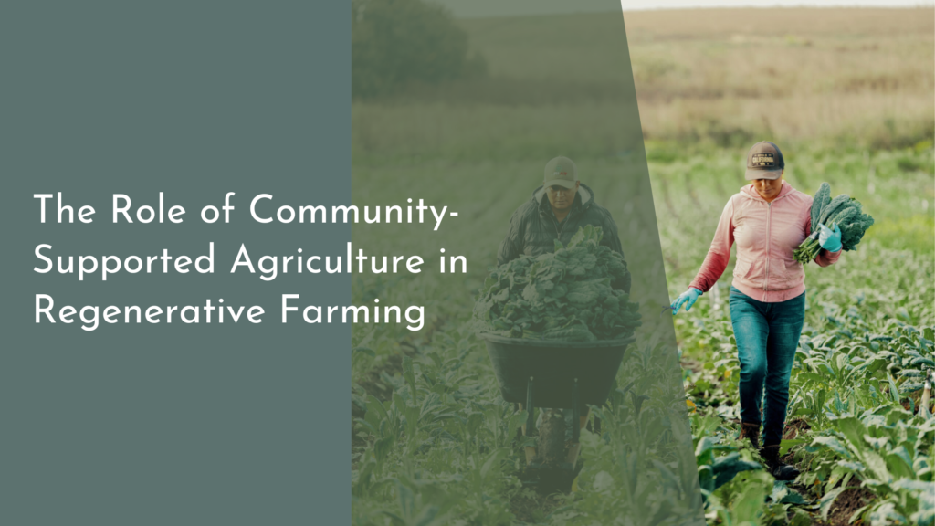 The Role of Community-Supported Agriculture in Regenerative Farming