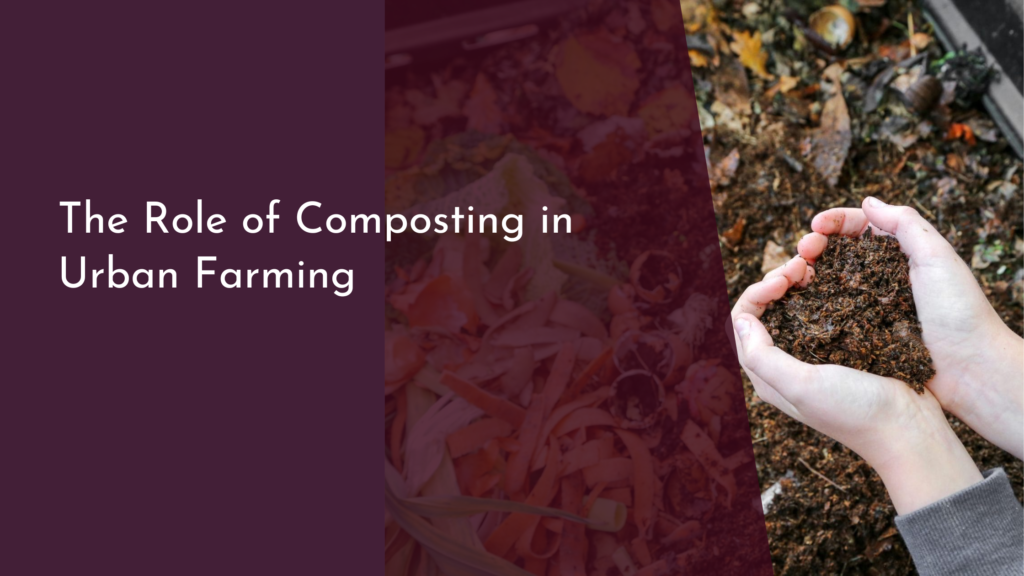 The Role of Composting in Urban Farming