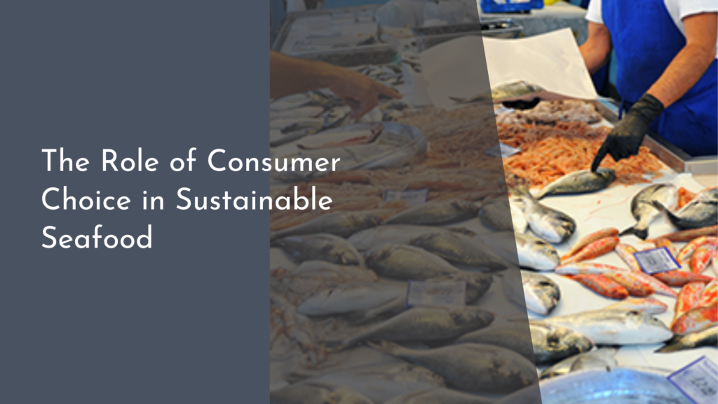 The Role of Consumer Choice in Sustainable Seafood