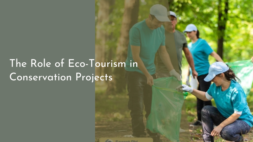 The Role of Eco-Tourism in Conservation Projects