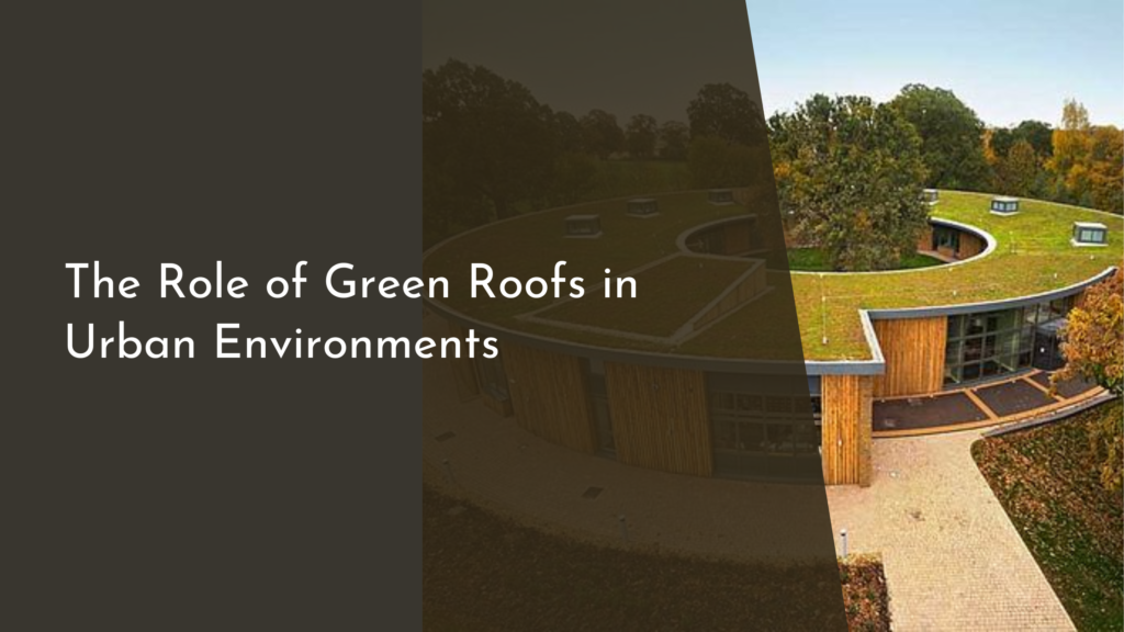 The Role of Green Roofs in Urban Environments