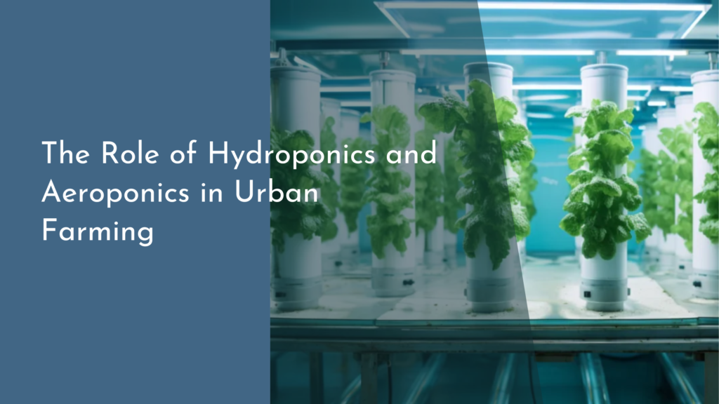 The Role of Hydroponics and Aeroponics in Urban Farming