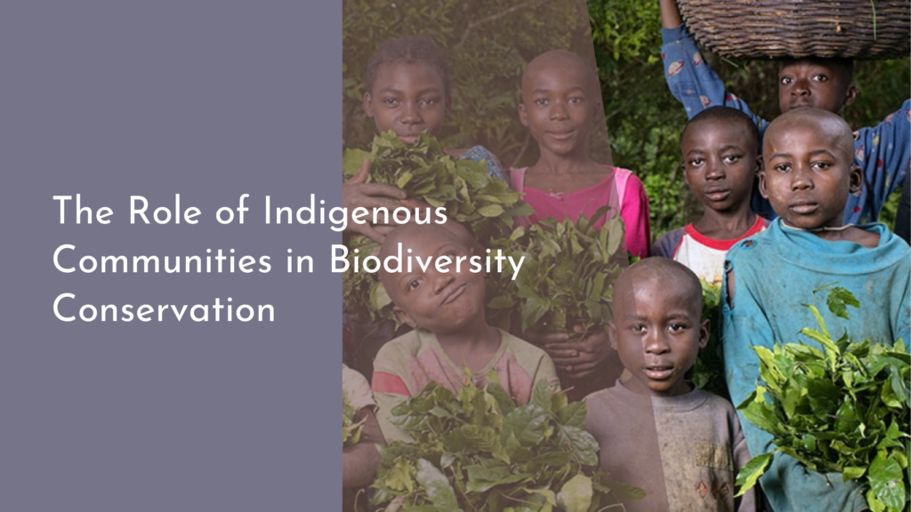 The Role of Indigenous Communities in Biodiversity Conservation