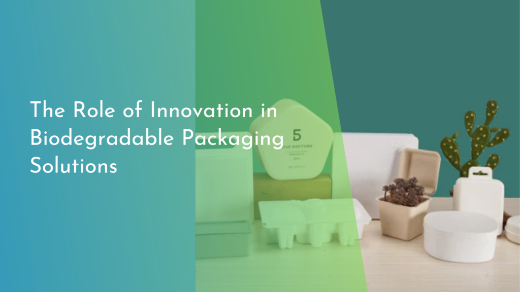 The Role of Innovation in Biodegradable Packaging Solutions