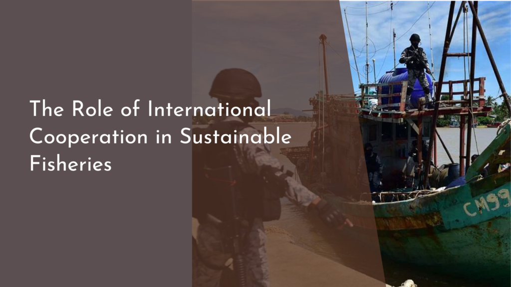 The Role of International Cooperation in Sustainable Fisheries